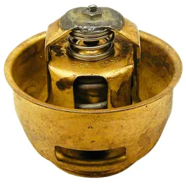 termostat-80-c-65mm-700ts109-belarus-ts1091306100