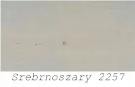 remmers-hk-lasur-impregnat-drewna-5l-srebrnoszary