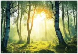 fototapeta-las-3d-drzewa-natura-slonce-na-sciane-sypialnia-salon-400x280