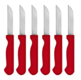 zestaw-6-nozy-ze-stali-nierdzewnej-verginic-kolorowy-do-warzyw