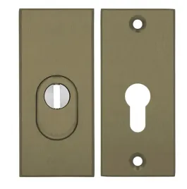 axa-rozeta-do-klamki-royal-kolor-f4-stare-zloto-wersja-krotka-117mm-flex