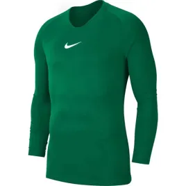 koszulka-nike-dry-park-first-layer-av2609-302-ziel
