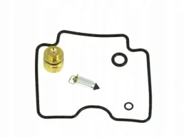 zestaw-naprawczy-gaznika-pasuje-do-yamaha-fzs-600-fazer