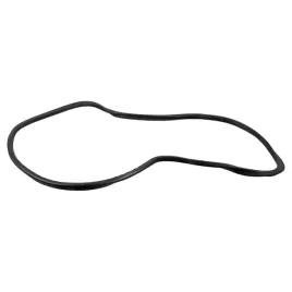 08889-uszczelka-tylnej-szyby-fe08889-febi