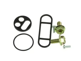 zestaw-naprawczy-kranika-pasuje-do-kawasaki-klx-zx-7r-zxr-k