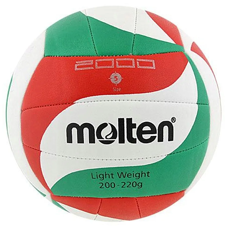 pilka-molten-v5m2000-l-5-bialy