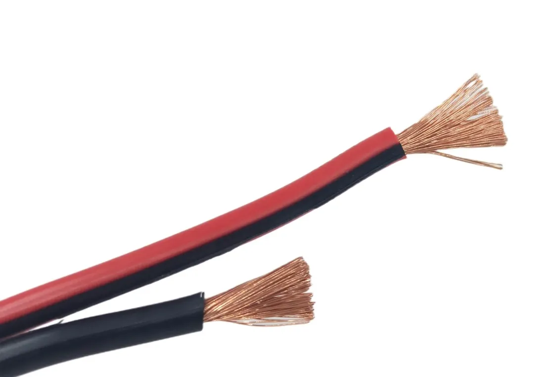 kabel-glosnikowy-2-x-25-mm-na-metry-cu