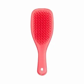 tangle-teezer-kids-gentle-detangling-mini-hairbrush