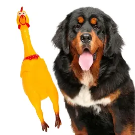 zabawka-dla-psa-kurczak-gigant-xxl-ogromny-mega-piszczacy-az-54-cm