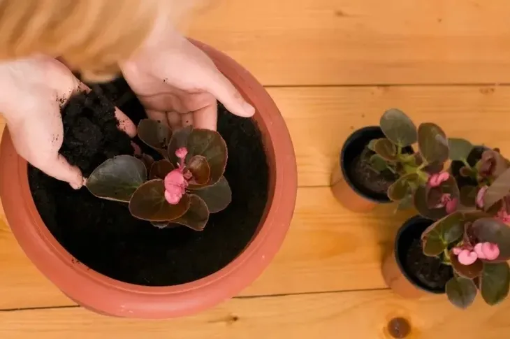 ziemia-do-kwiatow-nawoz-65-uniwersalna-podloze-pojemnosc-65-l