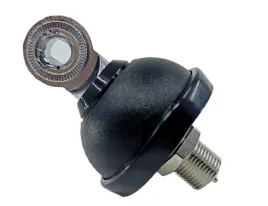 stopka-glowka-dv-sirio-alan-president