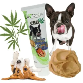 pasta-smakowa-dla-psa-do-lizania-cbd-antystresowa-do-smarowania-w-tubce