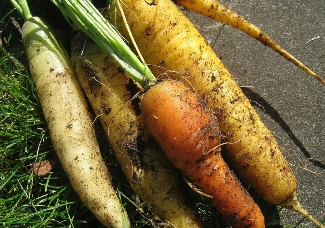 ziemia-uniwersalna-do-kwiatow-warzyw-ogrodowa-65l-z-nawozem-wysiew-kompost