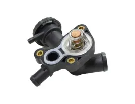 termostat-91c-mini-r50-r53-r52-1-6-06-01-11-07-04693366aa