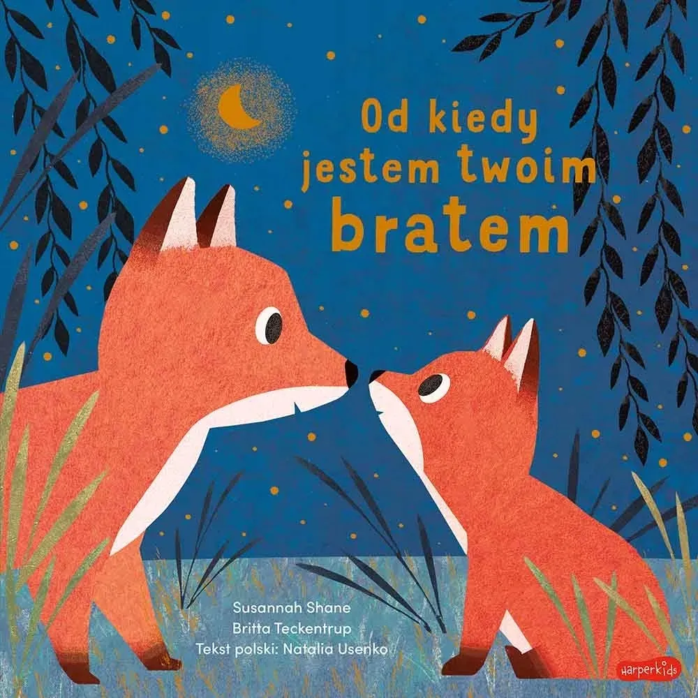 od-kiedy-jestem-twoim-bratem