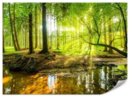 fototapeta-do-salonu-sypialni-las-natura-rzeka-krajobraz-drzewa-3d-450x300