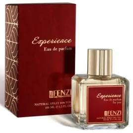 jfenzi-men-edt-experience-100-ml