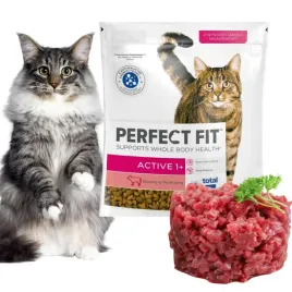 perfect-fit-active-1-wolowina-sucha-karma-dla-aktywnych-kotow-750g