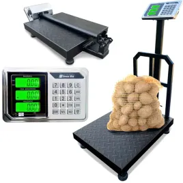 waga-magazynowa-do-300kg-45x60cm-z-oparciem-elektroniczna-platformowa