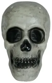 czaszka-szkieletora-plastikowa-czacha-szkieleta-szkielet-halloween