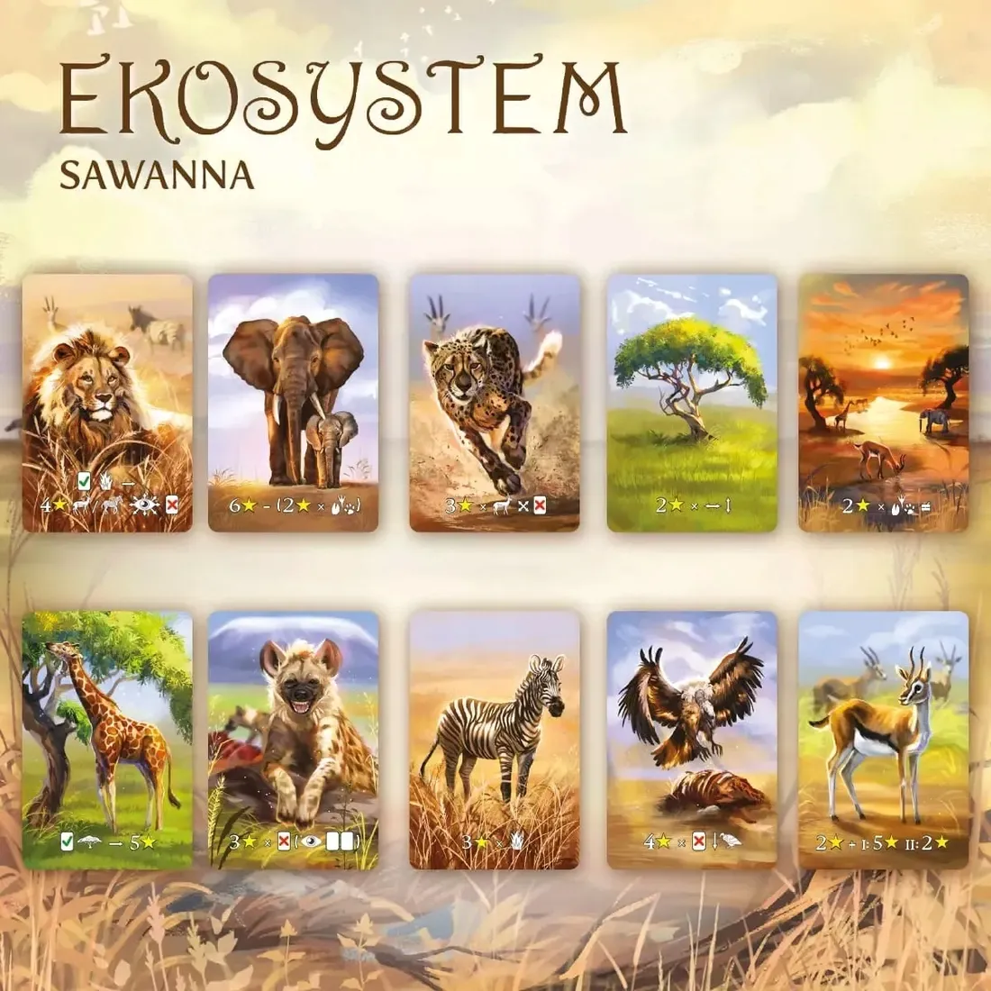 ekosystem-3-sawanna-stan-nowy