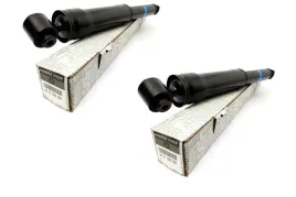 amortyzator-tyl-laguna-iii-4-control-oryginal