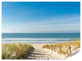 fototapeta-plaza-morze-wydmy-ocean-krajobraz-do-sypialni-salonu-3d-450x300