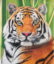 haft-diamentowy-tygrys-lew-30x40cm-diamond-paiting
