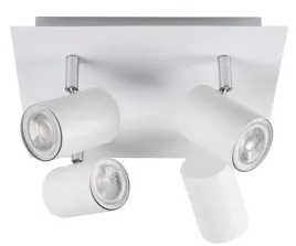 kanlux-oprawa-scienno-sufitowa-evalo-el-4o-w-sr-35696