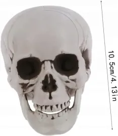 sztuczna-czaszka-szara-cieniowana-czacha-halloween-na-dekoracja-ozdoba
