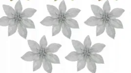 gwiazda-betlejemska-poinsecja-glowka-12szt-13cm