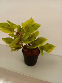 maly-stroik-na-pomnik-jesienna-dekoracja-liscie