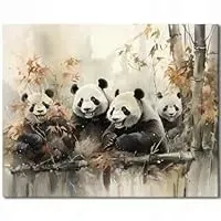 malowanie-po-numerach-50x40-cm-panda-pandy