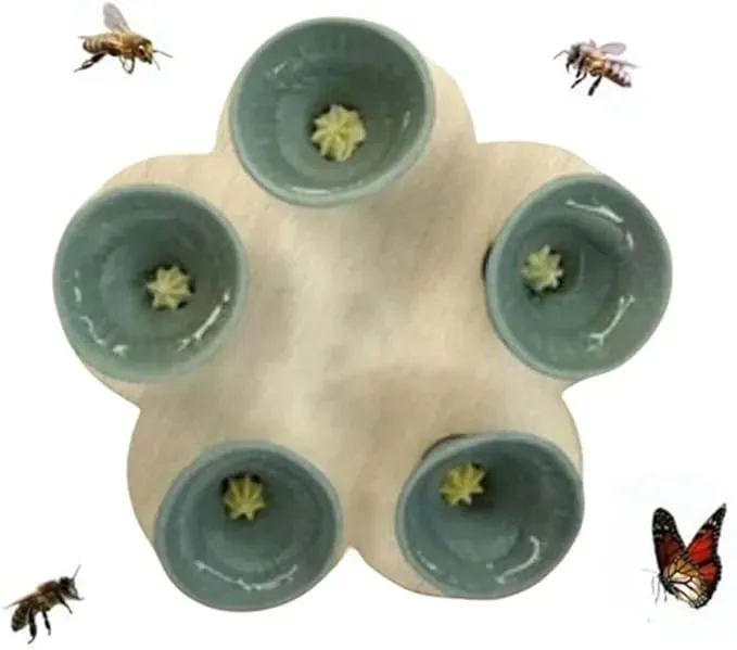 poidlo-poidelko-dla-owadow-miseczki