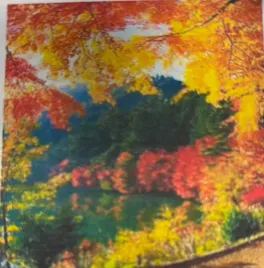 diamond-painting-haft-diamentowy-mozaika-zestaw-krajobraz-jesieni-5d-30x40