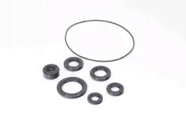 zestaw-uszczelniaczy-atv-139fmb-147fmd-do-silnikow-poziomych-chiny