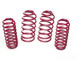 sprezyny-obnizajace-dodge-challenger-2008-2014-25-25