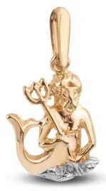 klasyczna-zlota-zawieszka-ze-znakiem-zodiaku-wodnik-aquarius-14kt-585