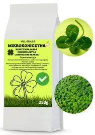 mikrokoniczyna-drobnolistna-koniczyna-biala-wzbogaca-trawnik-nasiona-250g