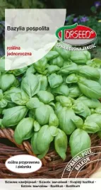 bazylia-zielona-ocinum-basilicum-05g-torseed