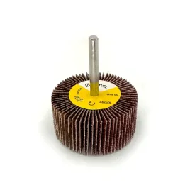 relop-sciernica-trzpieniowa-listkowa-60x30x6-p40