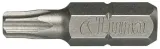 groty-torx-t20-luna