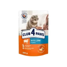 club-4-paws-premium-adult-cat-z-jagniecina-w-sosie-saszetka-100g