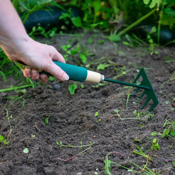 grabki-biogrod-700002-marka-biogrod