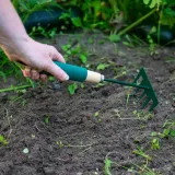 grabki-biogrod-700002-marka-biogrod