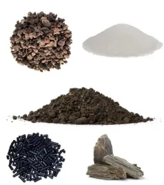 3xzestaw-startowy-xl-sukulenty-las-w-sloiku-szkle