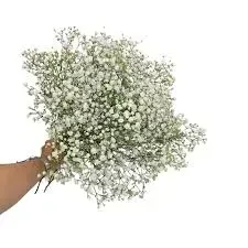 kwiaty-gipsowka-gotowy-bukiet-wysokosc-55cm