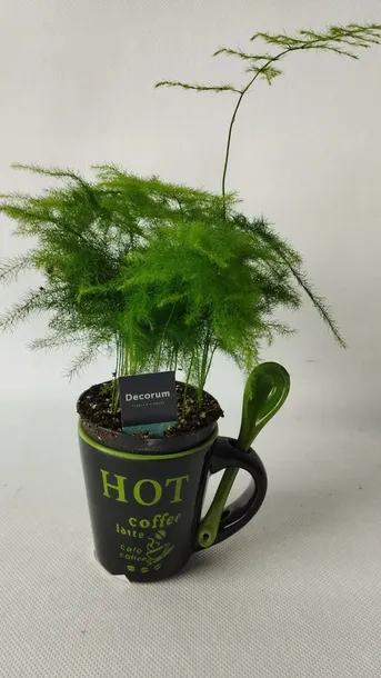 oslonka-ceramiczna-na-doniczke-6-cm-material-ceramika