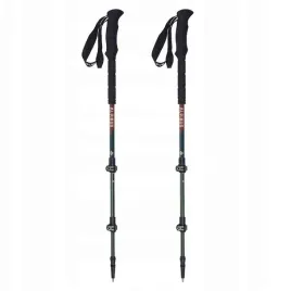 kije-trekkingowe-alpinus-kijki-do-nordic-walking-matterhorn