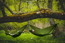 hamak-lesovik-bystry-treetop-green-z-systemem-zawieszenia-sneka